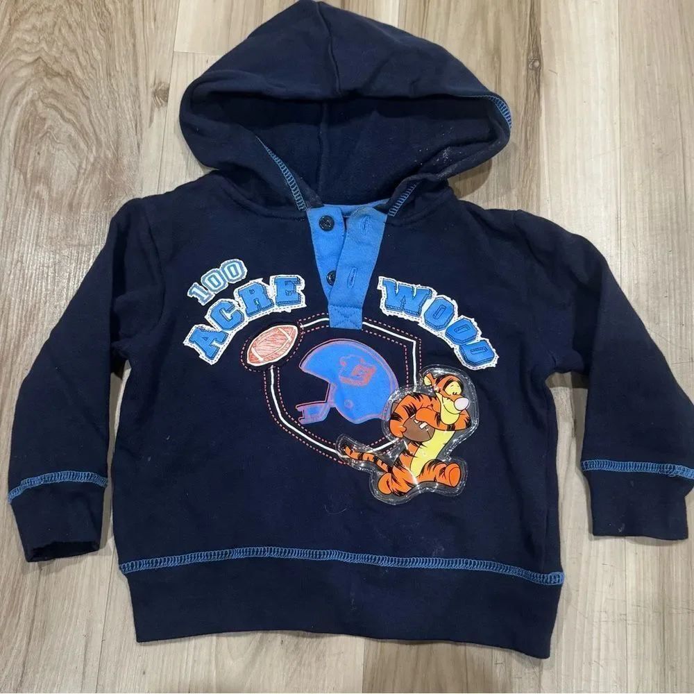 Disney Pooh Tigger Pullover Hoodie Y2K Boys Toddlers 24M
